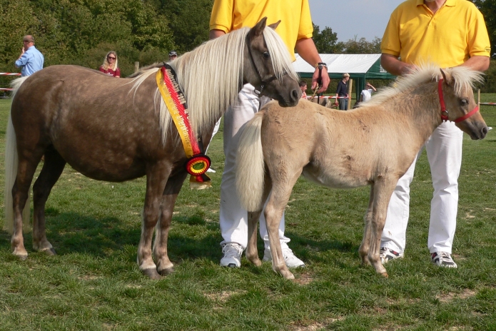 Bundes-Siegerstute Alicek