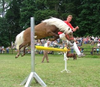 Jasper_springt_klein