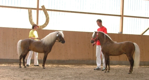 jacobs_Kr_und_Jasper_klein